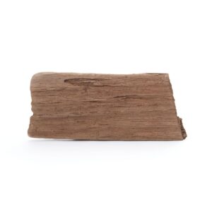 Driftwood No.5 (10"Long)