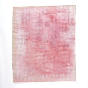 Canvas No.5 (Raspberry)