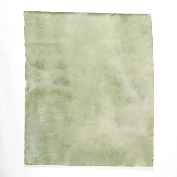 Canvas No.7 (Pond Green)